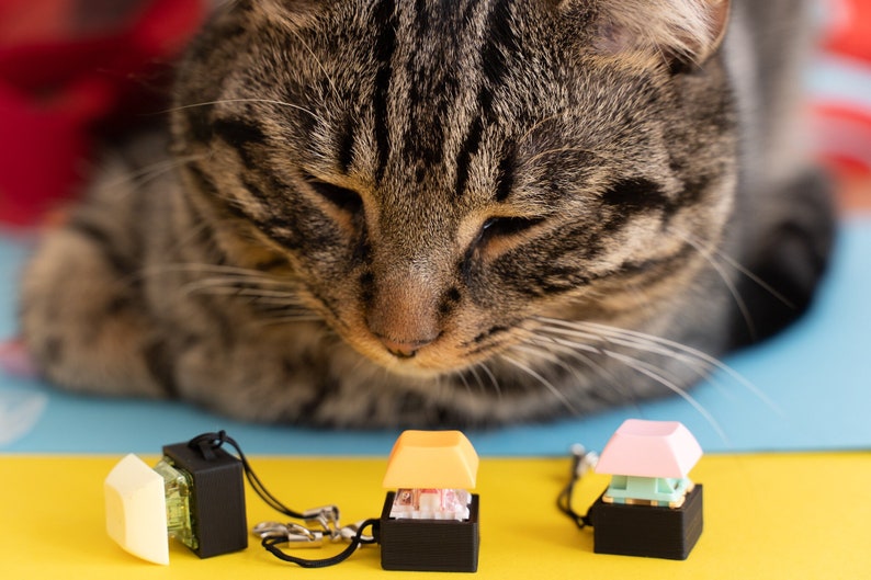 Cherry MX Mechanical Keyboard Switch Tester