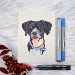 Custom Hand Drawn Pet Portraits