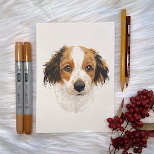 Custom Hand Drawn Pet Portraits