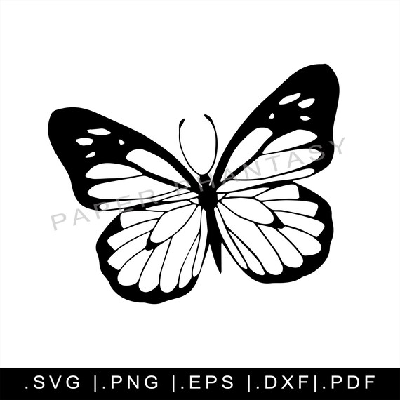 Download Butterfly Silhouette Svg Grunge Outline Bugs Insects Wings Etsy PSD Mockup Templates