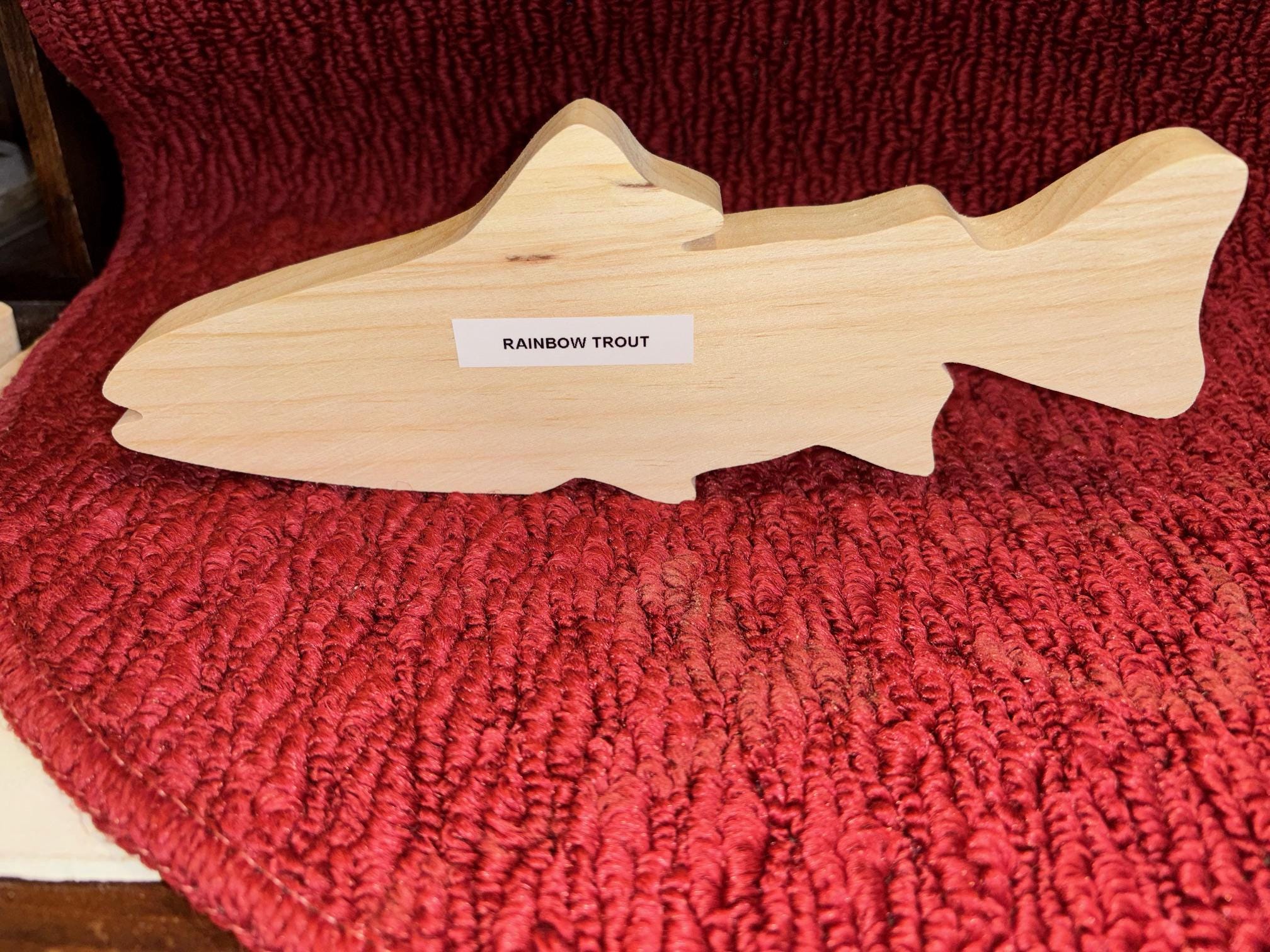 Filets de pêche, studio, décoration méditerranéenne - Test et Avis