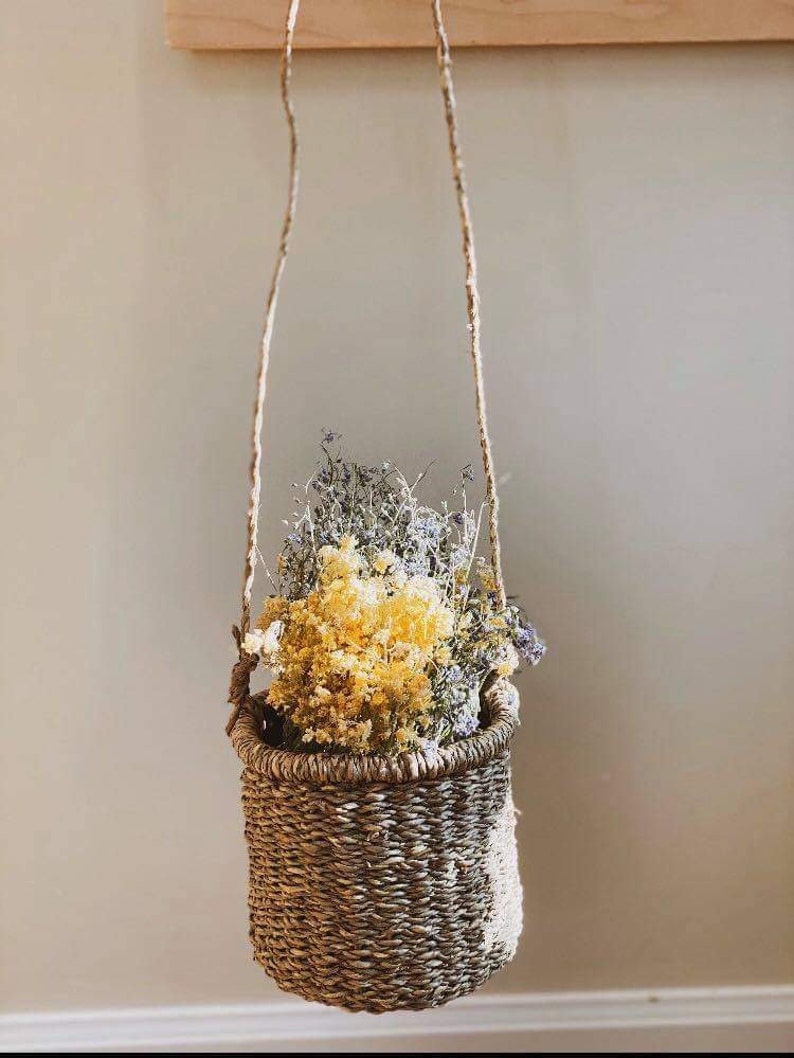 Seagrass Basket Hanging Fruit Basket Planter Container Etsy