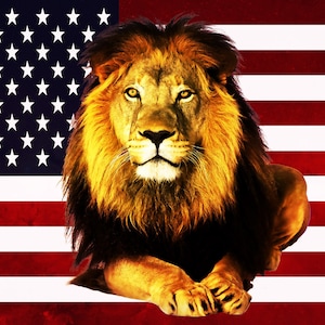 THE KING of America – Silk Printed Worship Flags (Pre-Release)