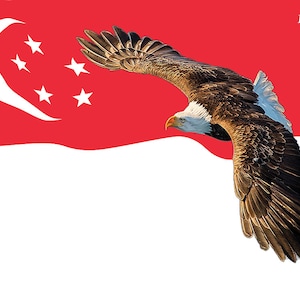 Buy 1 - Get - 1 Free - Arise ! Singapore Silk Printed Worship Flags