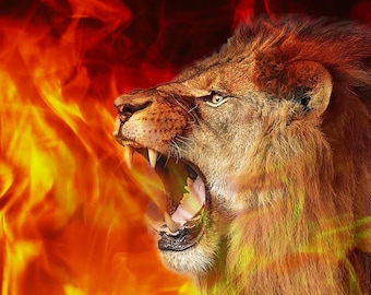 Stand & Roar - Fiery Lion - Printed Harbotai Silk Flag