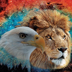 Rule & Reign - Bandera de seda Harbotai impresa