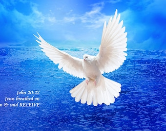 EMPFANGEN - I - Seidengedruckte Anbetungsfahnen