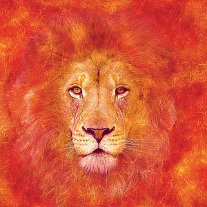 May include: A close-up of a lion's face with a fiery orange background. The lion has a thick mane and piercing yellow eyes.