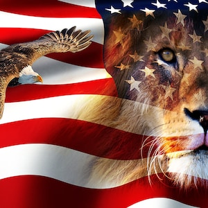 Arise America - Ii (kings And Prophets) Silk Printed Worship Flags