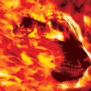 May include: A fiery orange and yellow abstract image of a cat's face with glowing eyes. The cat's face is partially obscured by flames.