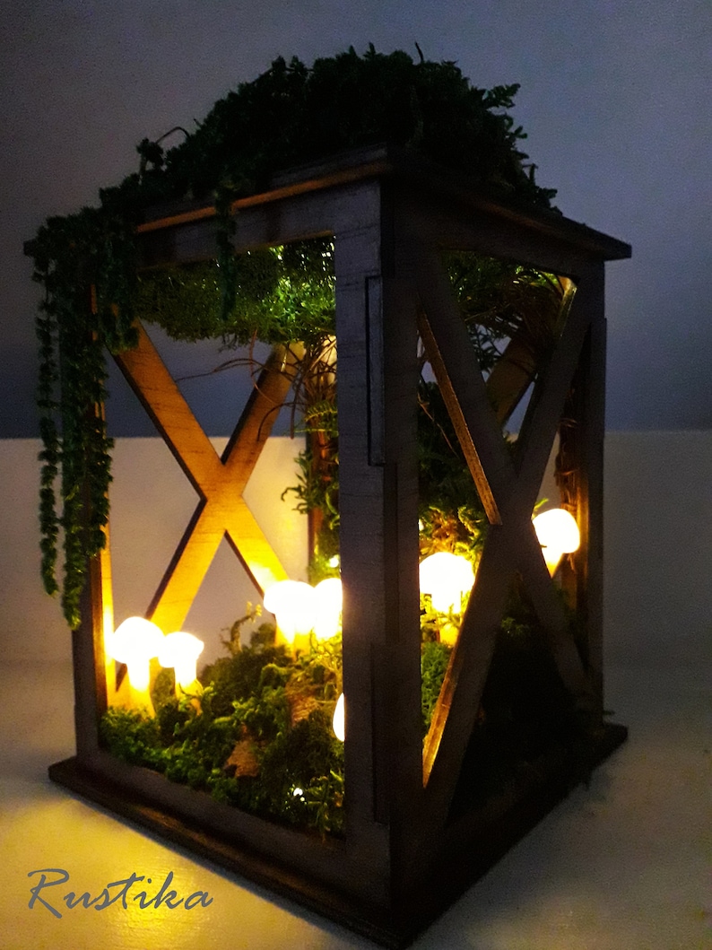 Mushrooms Lantern Mushrooms Diorama Mushroom Lights Decor Etsy