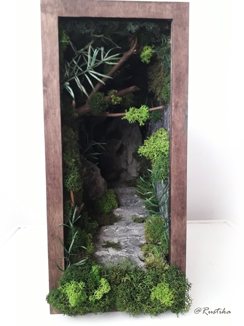 Forest Path Book Nook Shelf Insert Decor Etsy Canada