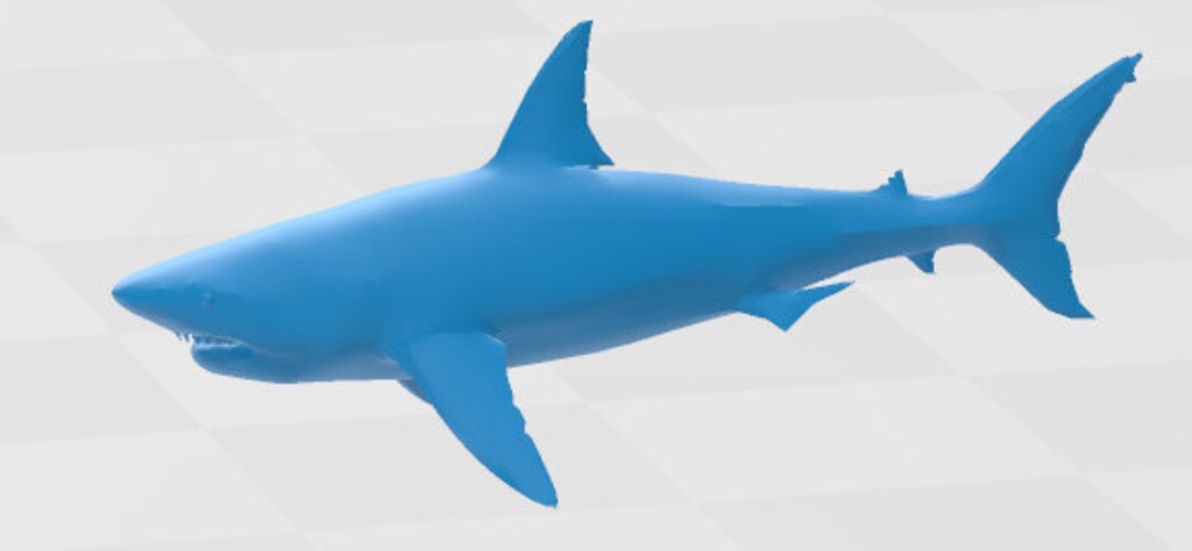 Giant Shark Mini in 3 Pieces - DND - Pathfinder - Dungeons &amp; Dragons ...