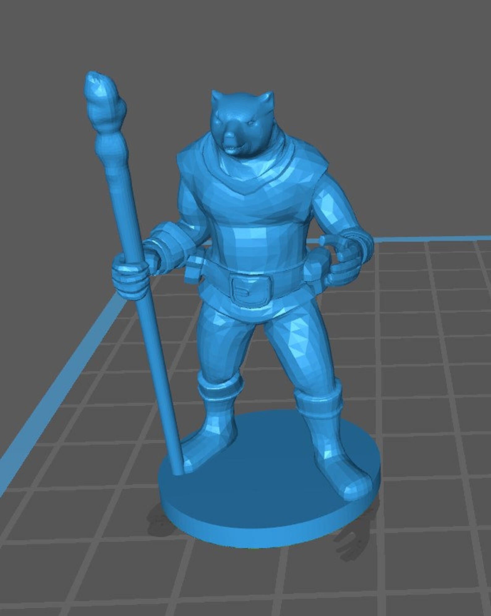 Other Races Wizard Mini - DND - Pathfinder - Dungeons & Dragons - RPG ...