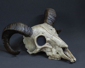 Ram skull mask for cosplay, carnival or decor