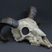 Ram Horn Skull Pagan Viking Ritual Skull Witchcraft Skull Deer Antler ...