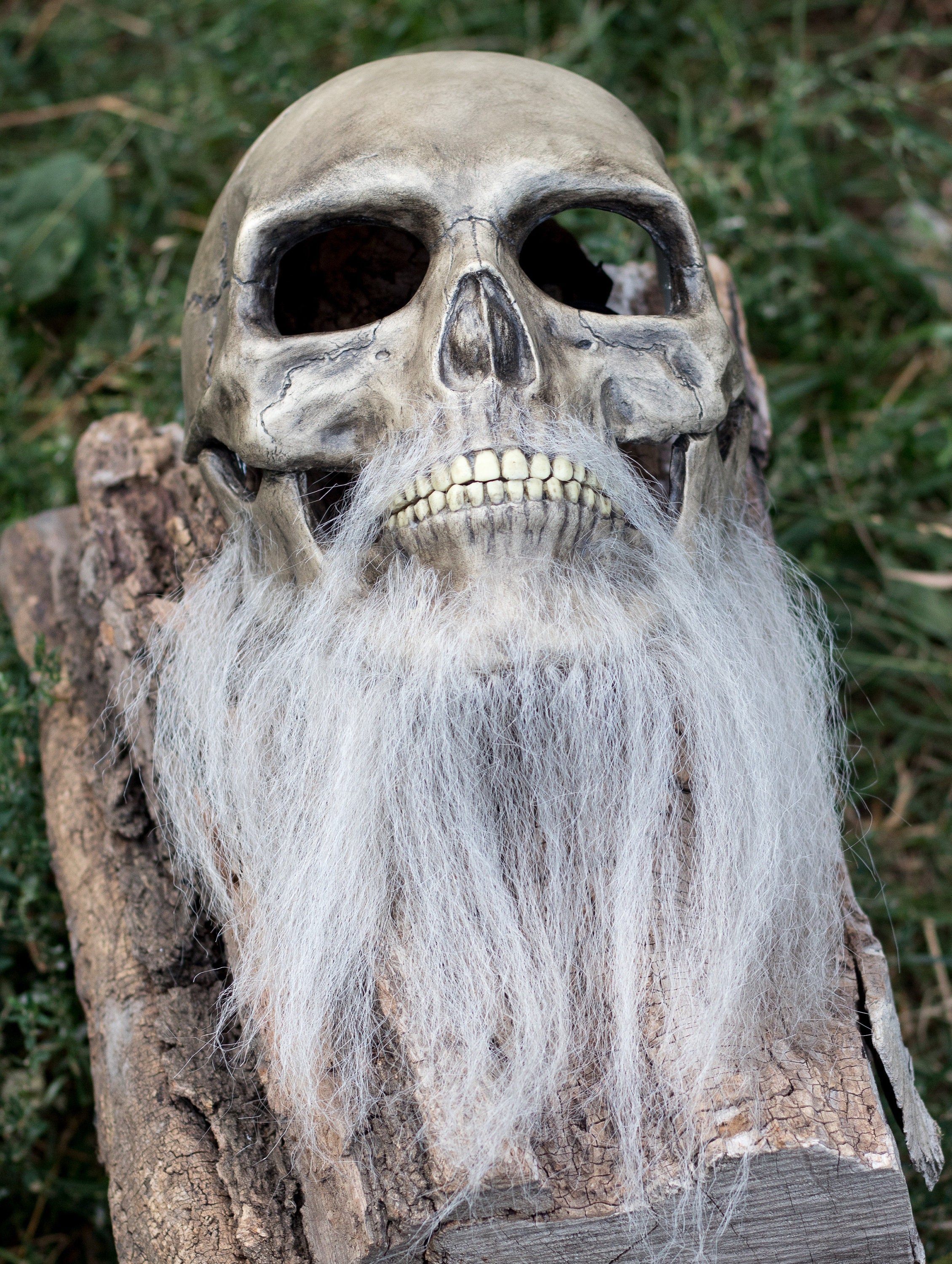 Human Skull Mask full face with realistic teeth movable jaw | Etsy