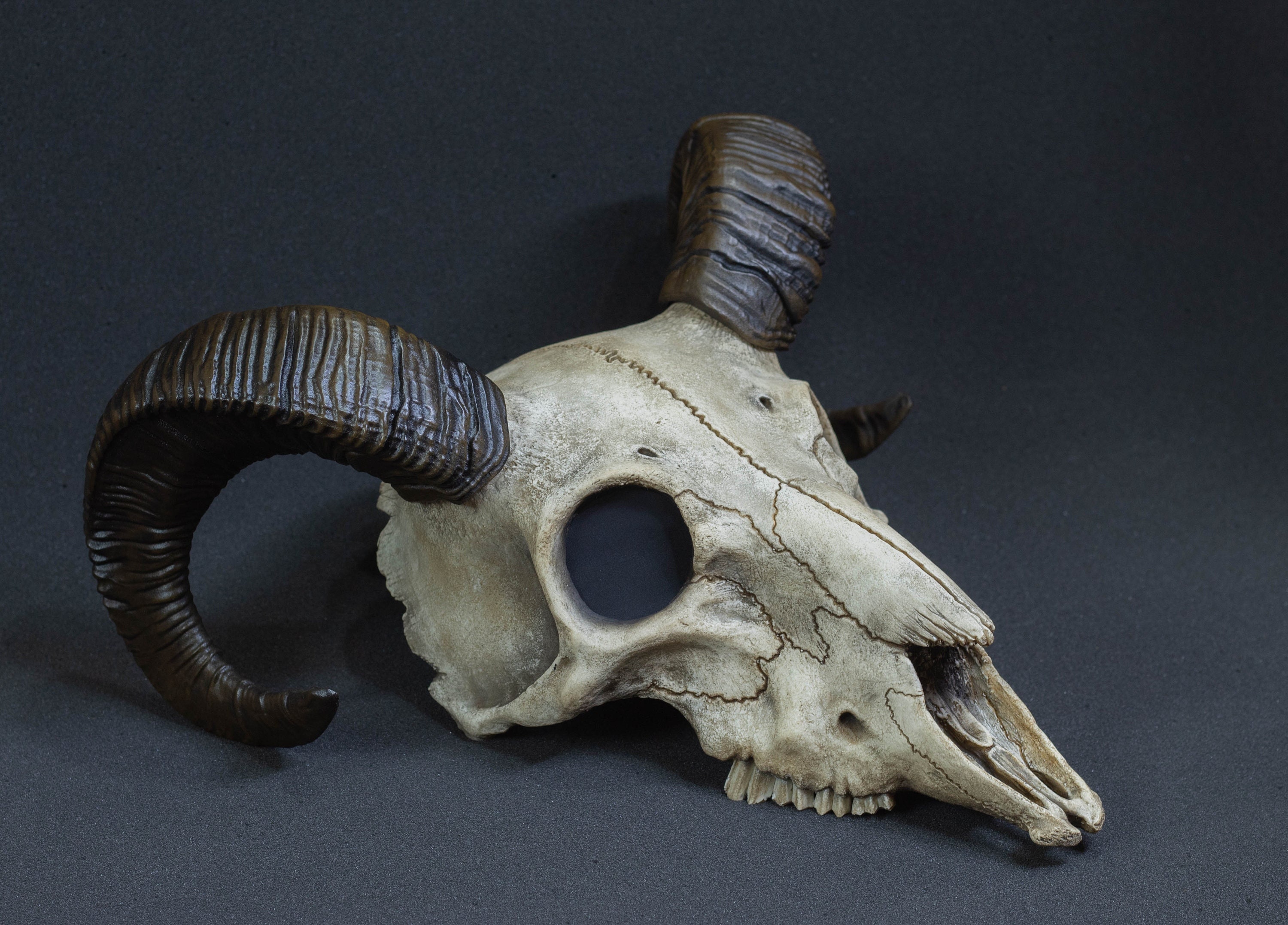 Ram skull mask for cosplay, carnival or decor
