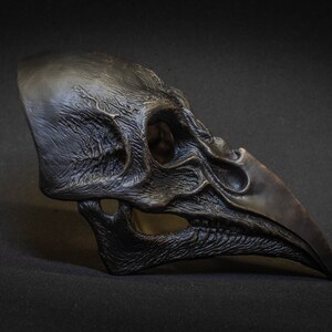 May include: A detailed, dark bronze-colored raven skull mask. The mask has a textured surface with visible ridges and a prominent beak. The eye sockets and nasal cavity are clearly defined, giving it a realistic appearance. The mask is likely for costume or decorative purposes.