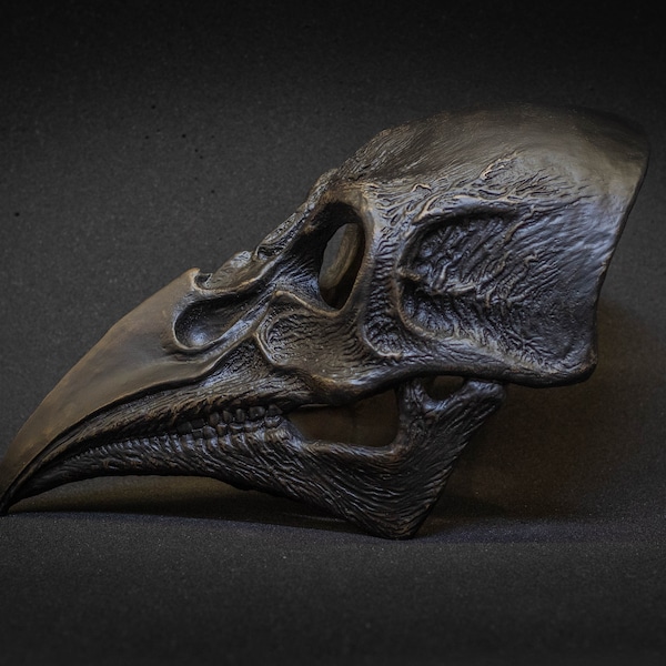 Plague Doctor mask Bird skull with a movable jaw.