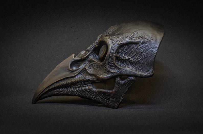 May include: A detailed, dark bronze-colored raven skull sculpture. The sculpture is highly textured, with visible ridges and hollows, and is set against a dark background. The beak is long and curved, and the eye socket is prominent.