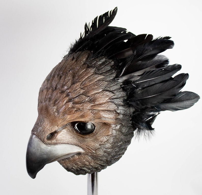 Bird mask with natural feathers for cosplay or carnival Falcon | Etsy