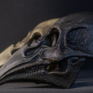 May include: Two detailed raven skull sculptures. The front skull is dark gray, with intricate textures and a prominent beak. Behind it, a lighter, bone-colored skull is partially visible, creating a contrast. The skulls are set against a dark background.