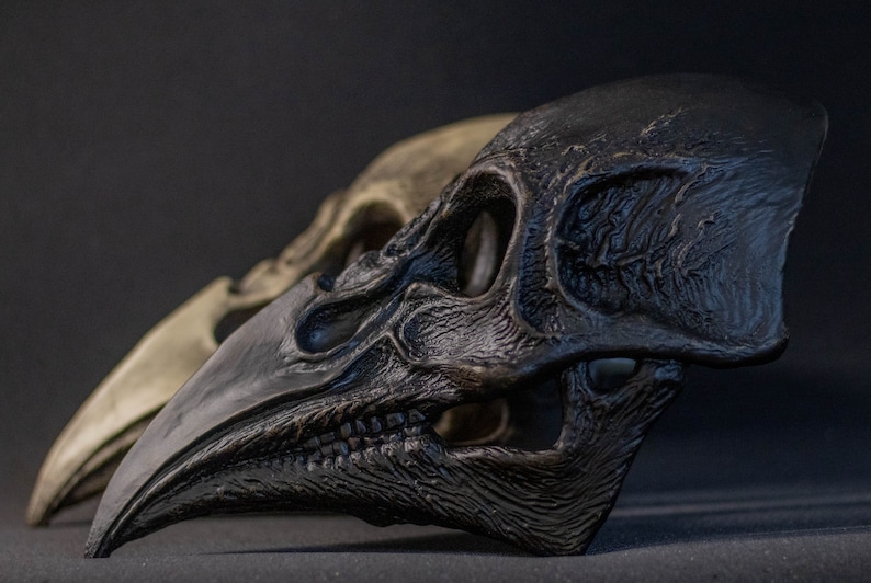 May include: Two detailed raven skull sculptures. The front skull is dark gray, with intricate textures and a prominent beak. Behind it, a lighter, bone-colored skull is partially visible, creating a contrast. The skulls are set against a dark background.