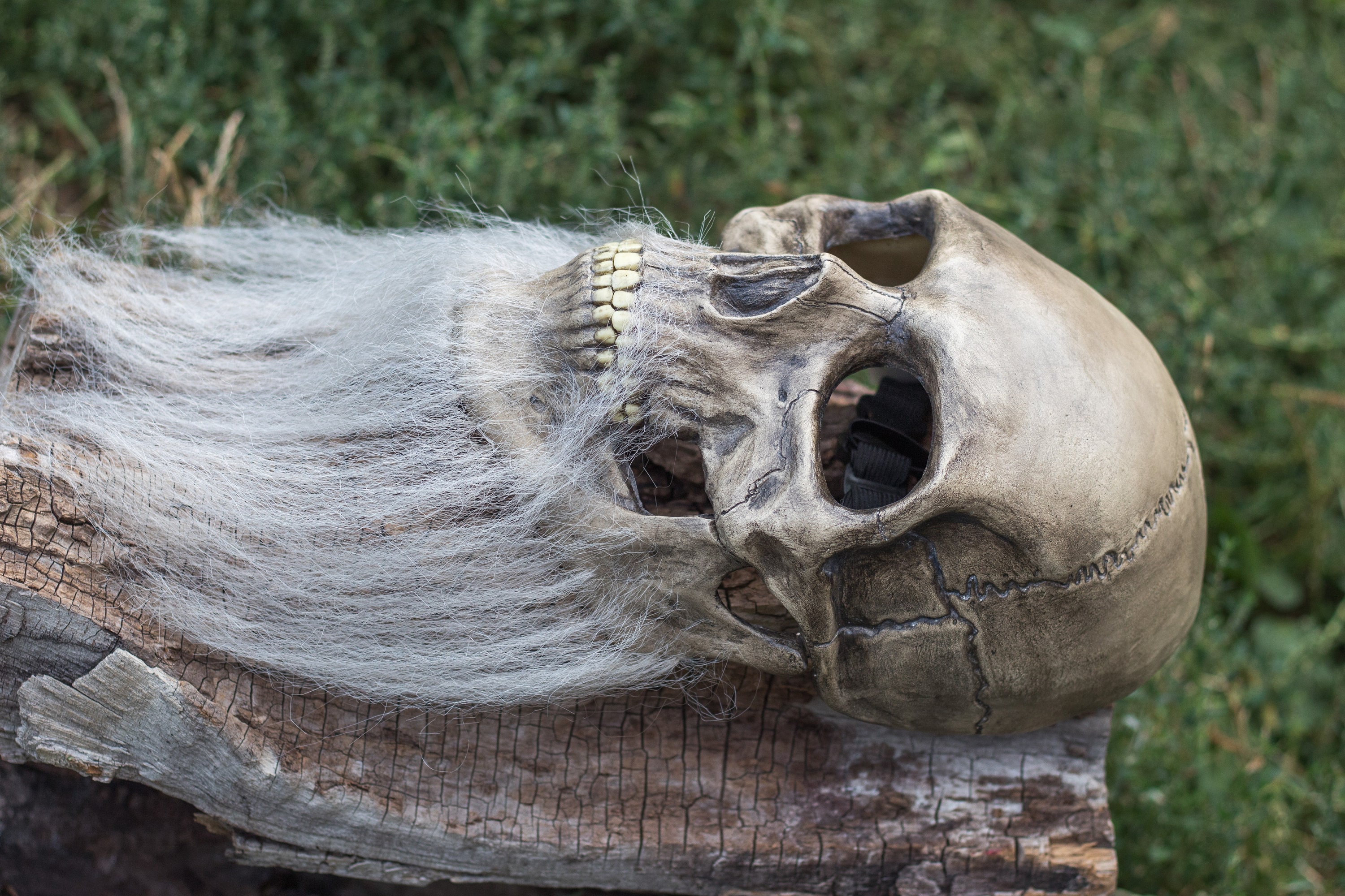 Human Skull Mask full face with realistic teeth movable jaw Etsy