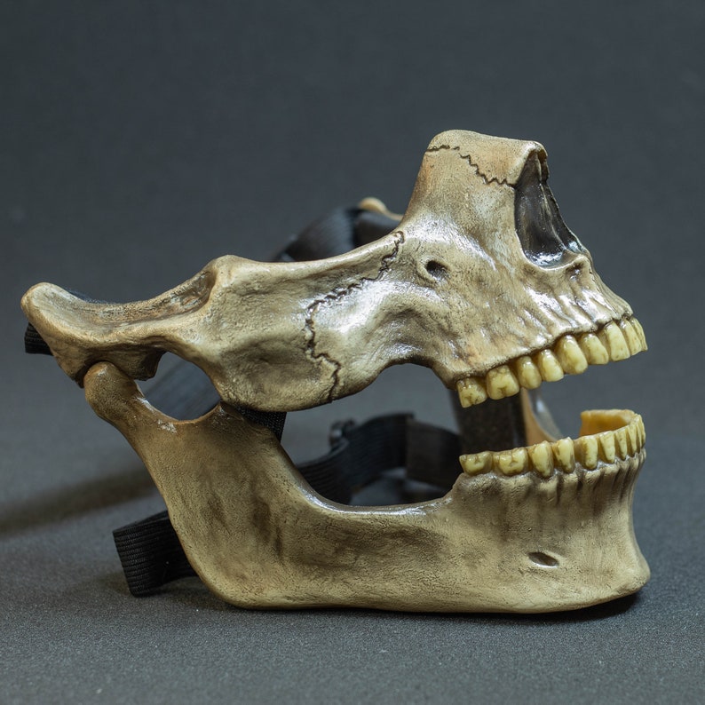 Pu&ograve; includere: Una maschera a teschio bianco sporco con denti visibili e un cinturino elastico nero. La maschera &egrave; progettata per adattarsi al viso, con una realistica consistenza ossea e bocca aperta. Per costume o decorazione.