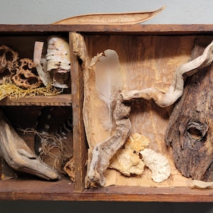 Conjunto de la naturaleza