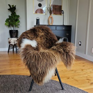 Soft Supple Rare Rusty Brown + White Sheepskin 53&quot; x 34&quot;