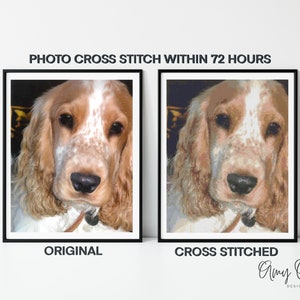 Custom Photo Cross Stitch Pattern & Kit