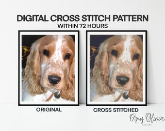 Digital Custom Photo Cross Stitch Pattern