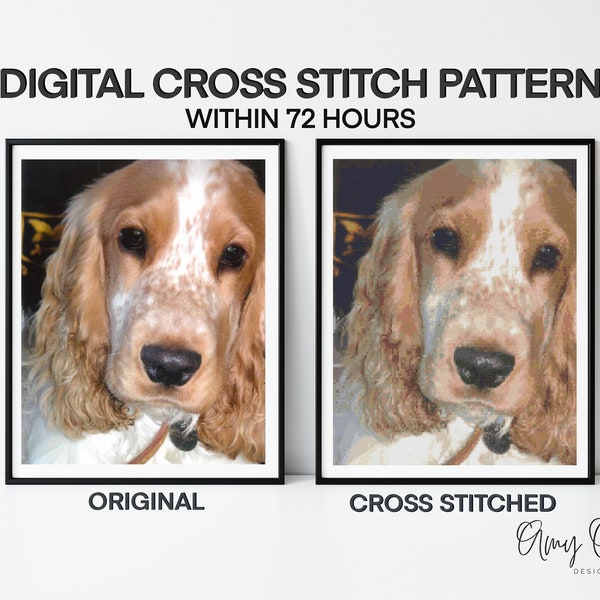 Digital Custom Photo Cross Stitch Pattern