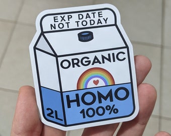 Homo Pride Magnet- Homo Milk - Gay - Milk Carton 100% - pride - lgbtqi - lgbt pride - lesbian