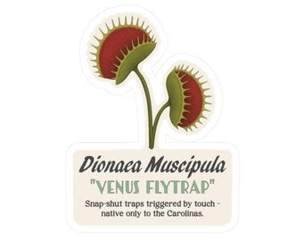 Venus Flytrap Sticker: Carnivorous Plant Vinyl Decal for Laptop, Water Bottle
