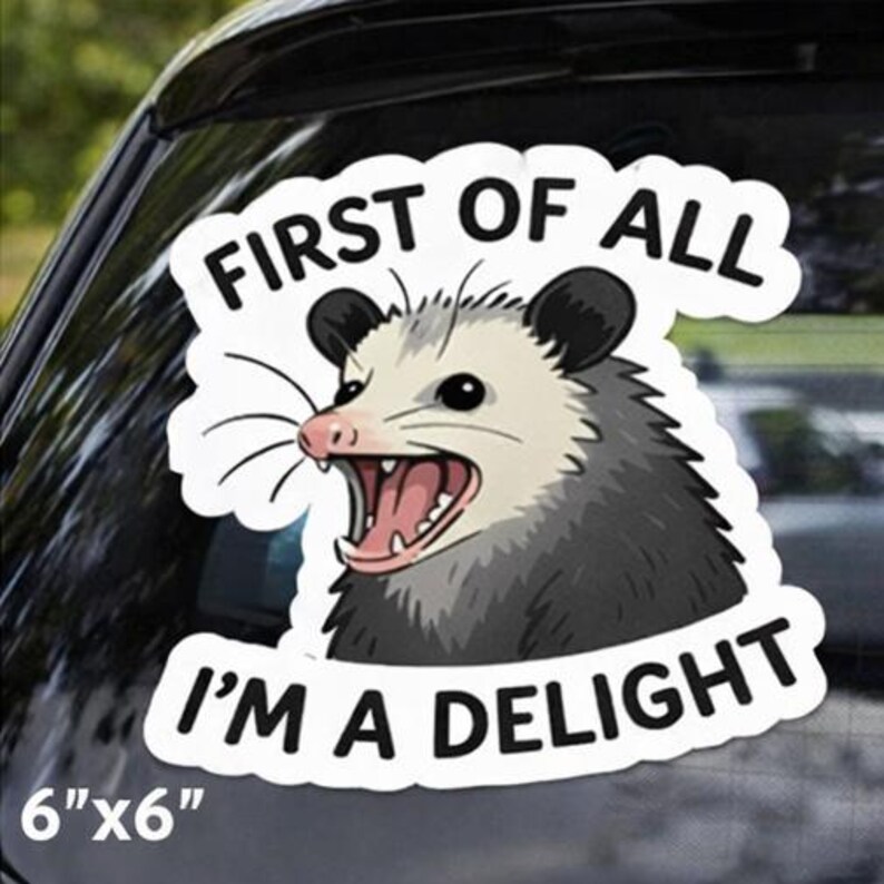 Funny Opossum Sticker: Sassy Animal Vinyl Decal for Laptop - Etsy