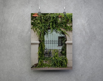 Photo Ivy / Vine Covered Ironwork Window in Zamość Poland  - Wall Art Print