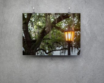 Savannah Streetlamp with Spanish Moss Fine Art Photograph