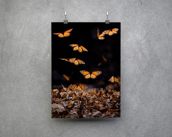 Fotografía de migración de mariposas Monarca - Impresión de arte de pared