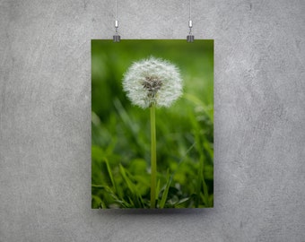 Dandelion Puff Surrounded by Grass - Make a Wish - Wall Art Print