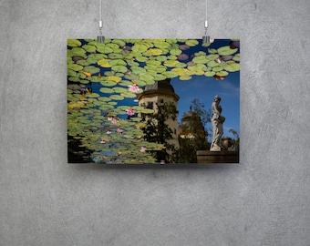 Waterlily Reflection at Książ Castle / Zamek in Wałbrzych, Poland  - Wall Art Print