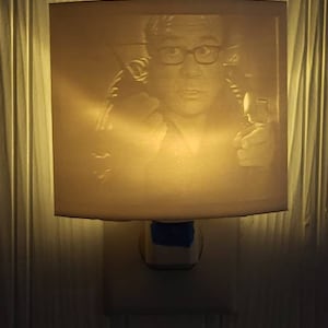 3d printed night light - day man- night man - frank reynolds- gag gift - funny gift - danny - always sunny- devito - light- custom - decor