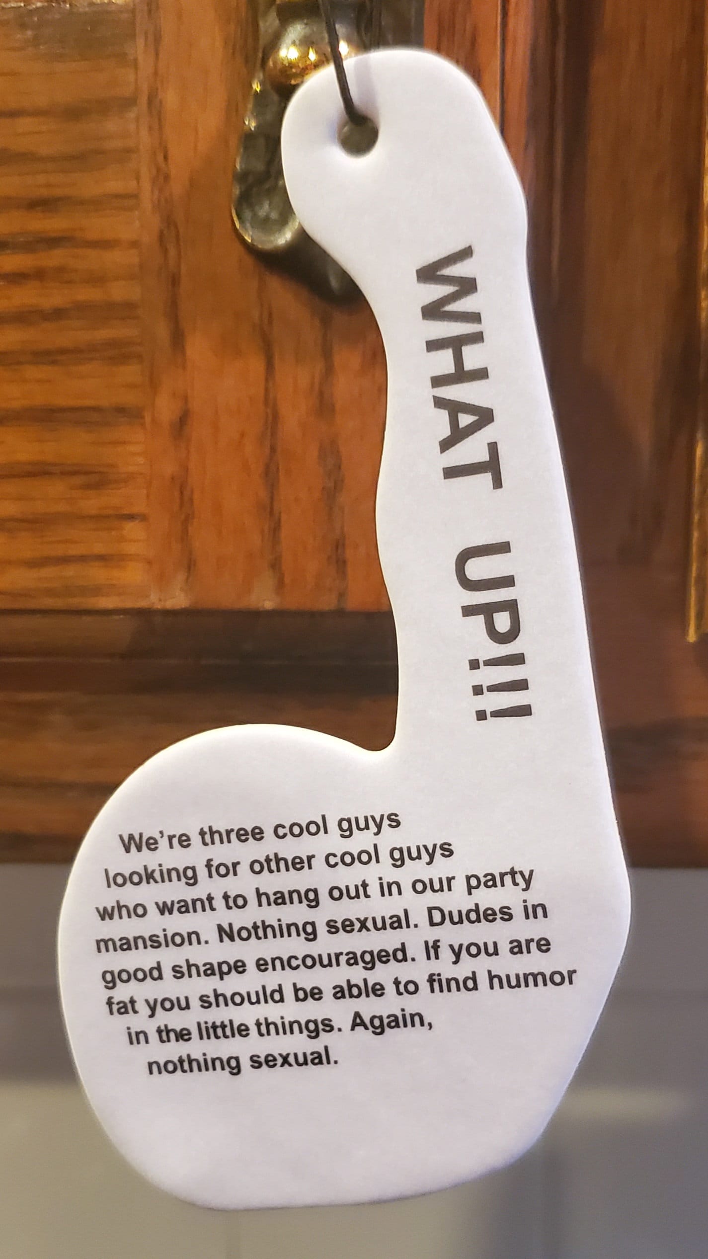 Cool guys air freshener car funny gag gift gag gifts Etsy