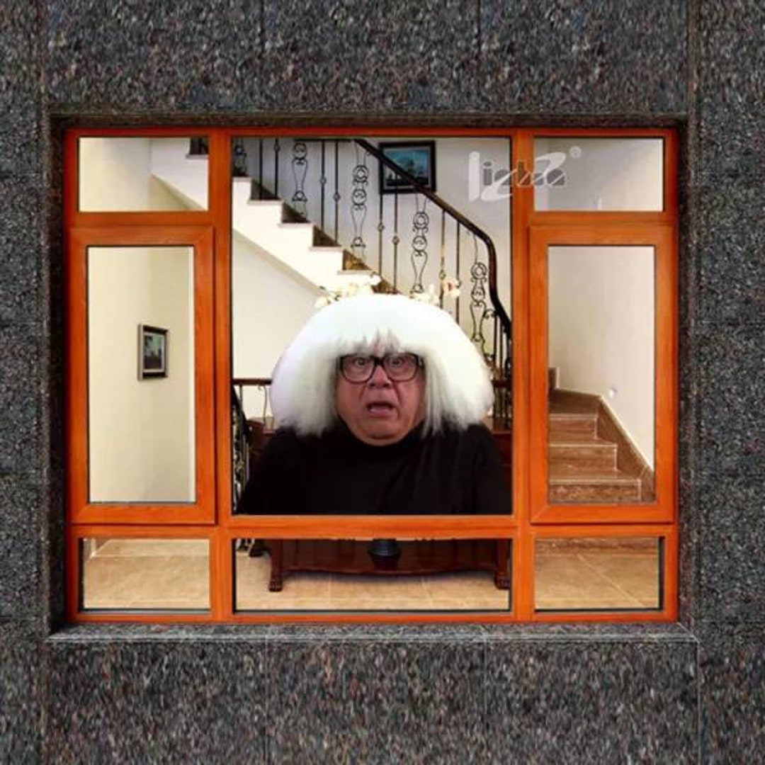 Static Window Sticker. Approximately 16x20 Depending the Image. Funny ...