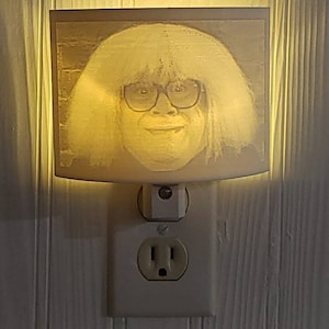 3d printed night light - day man- night man - frank reynolds- gag gift - funny gift - danny - always sunny- devito - light- custom - decor