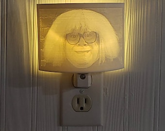 3d printed night light - day man- night man - frank reynolds- gag gift - funny gift - danny - always sunny- devito - light- custom - decor