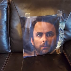 2 pack  pillow case 16×16 inches.  Perfect new house warming gift - white elephant- Christmas- frank - funny - pillow -