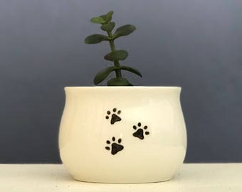 Paw Prints Hand-Painted Mini Pot 2 Inch Succulent Planter Jewelry Cup by NavigateNorth FREE coaster include